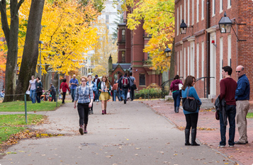 轰炸短信信息软件免费版